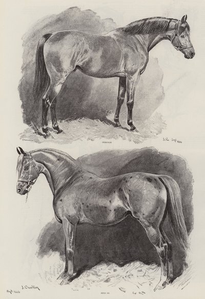La carrière d